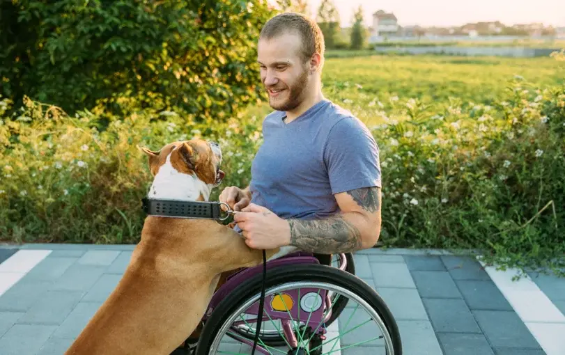 Man in a wheelchair petting a dog while enjoying a sunny day outdoors, representing accessibility and companionship